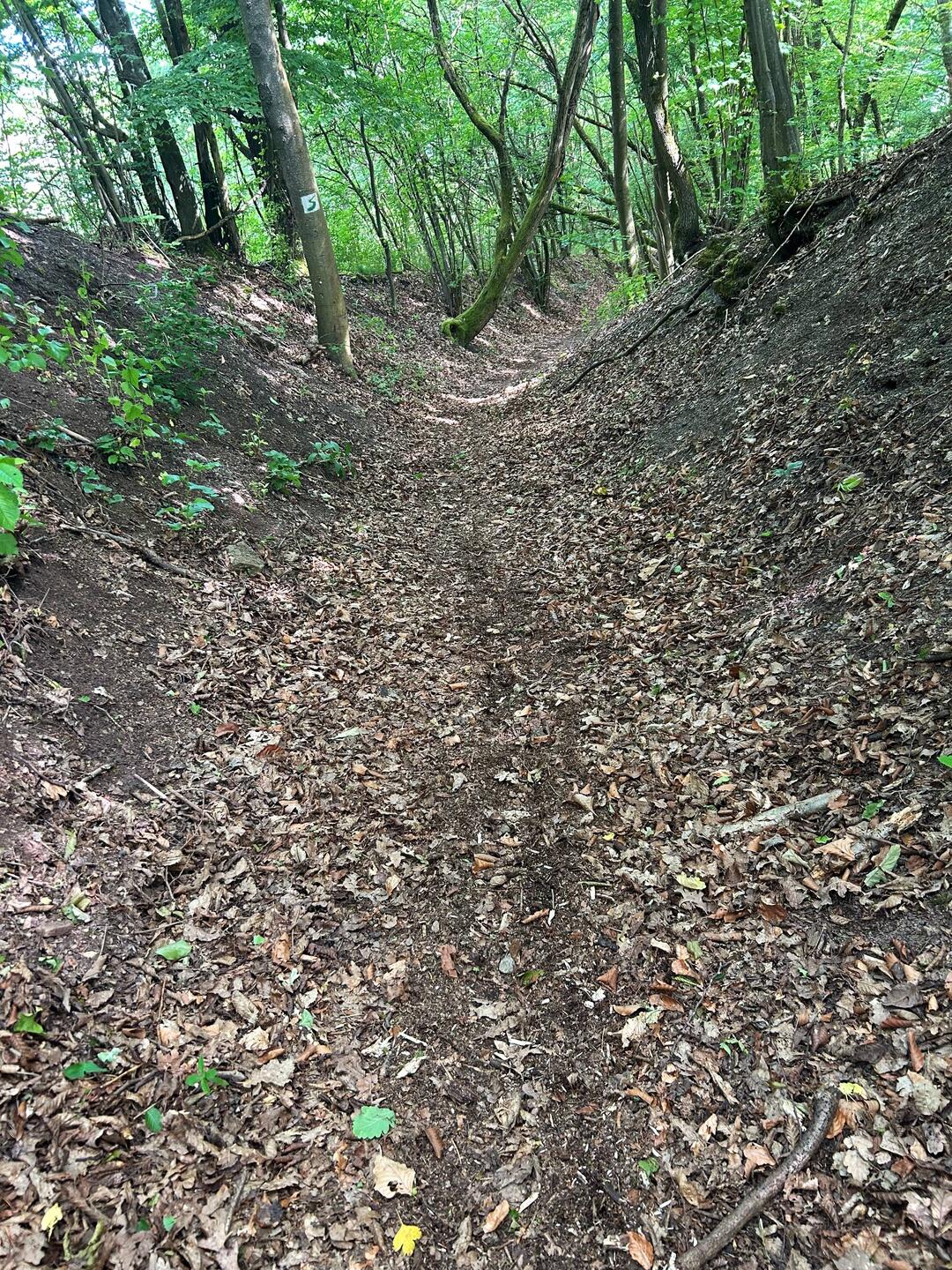 Durch diese hohle Gasse...