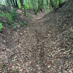 Durch diese hohle Gasse...
