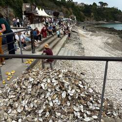 Die Schalen bitte an den Strand werfen...