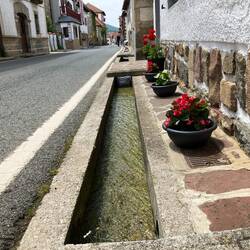 Flowers even where there is no place to plant them...how nice!