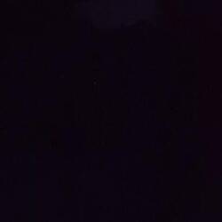 Glühwürmchen überall😇