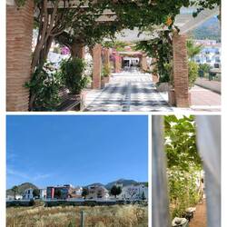 Maro ist auch ganz nett mit vielen Plantagen rundum