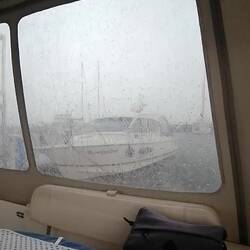 Mit Ton, der Hund ratzt endlich mal🤭