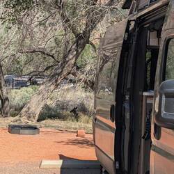 Unser persönliches Stellplatz-Reh😅