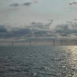Windmolens in de verte.