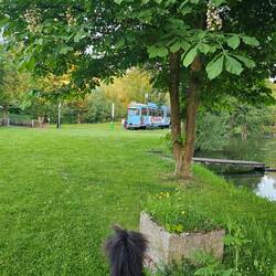 Am Campingplatz