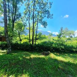 Schönes Gartengrundstück ...