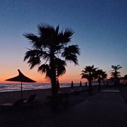 Wunderschöne Abendstimmung 👌