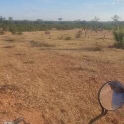 Kurz danach kam der Ranger