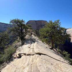 Kurz vorm Gipfelbereich