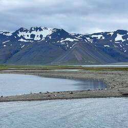 The fjord with eider ducks in the foreground.