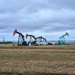 Extraction de jus de dinosaure.