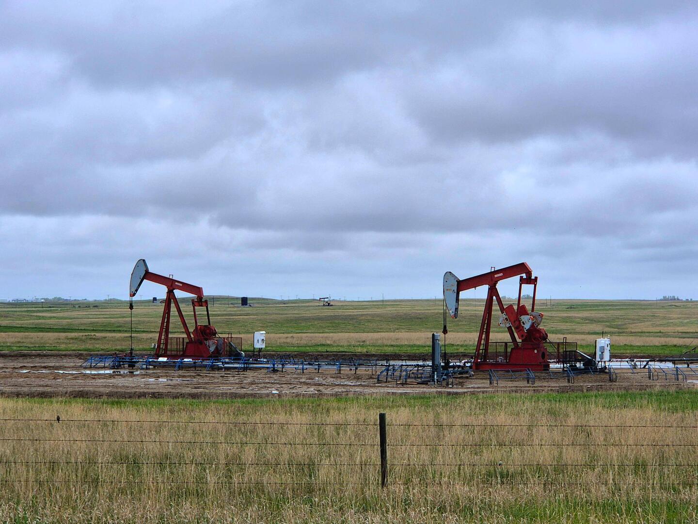 Les éoliennes locales.