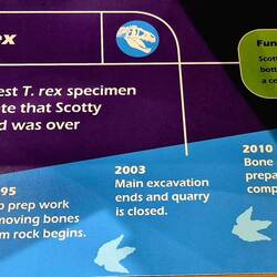 Le plus gros T-Rex trouvé à ce jour.