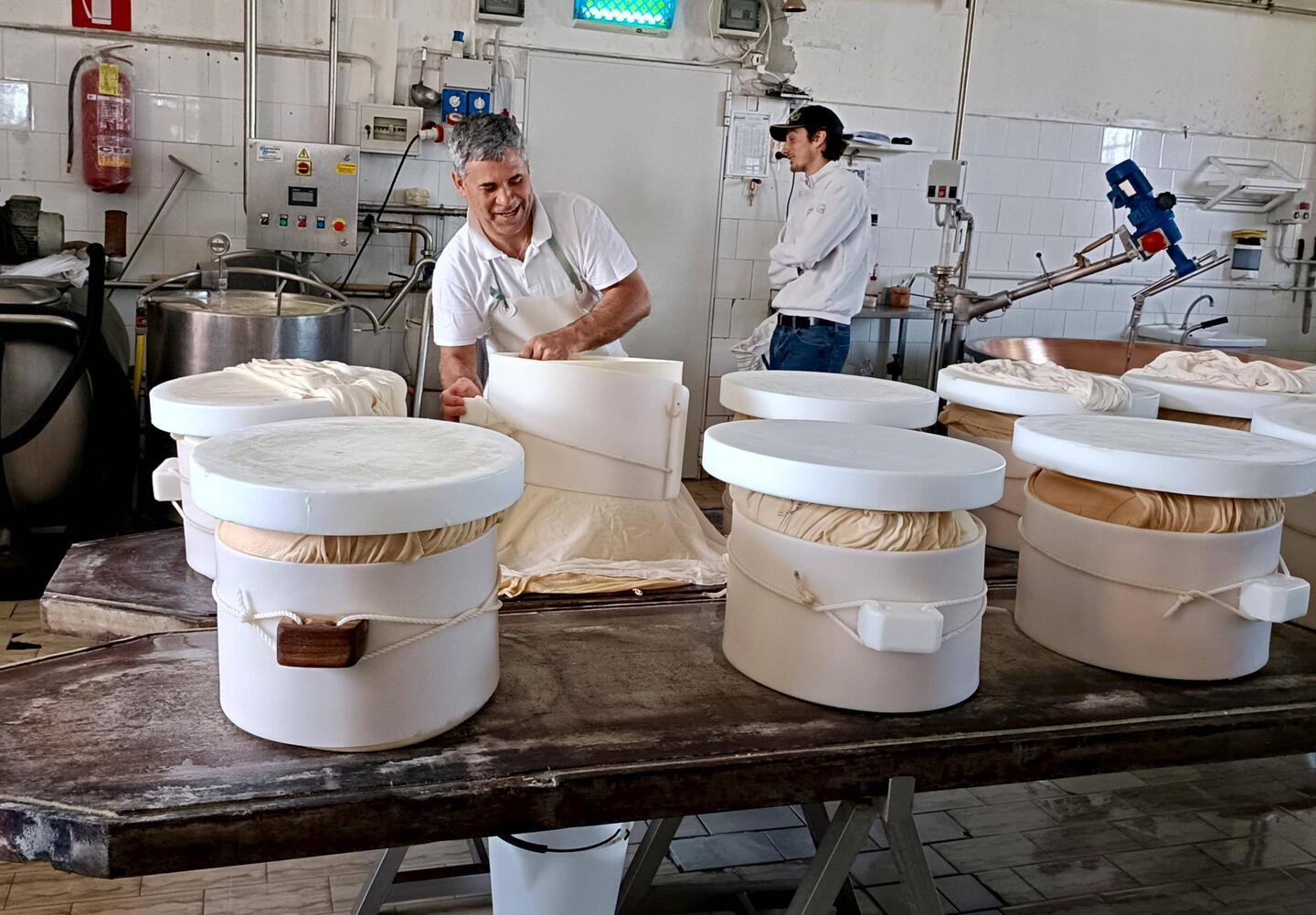 Those lids on top of the barrels weigh 10kg and are used to help shape the cheese