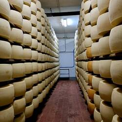The aging process. The darker cheeses are those that have been aged for a longer period of time