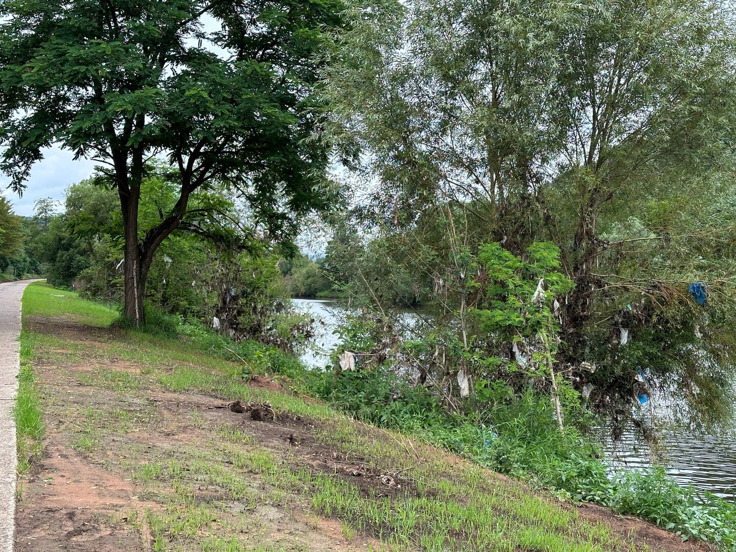 Plastikmüllreste von vergangenem Hochwasser