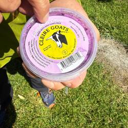 Lavender Ice Cream