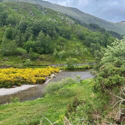 Highlands