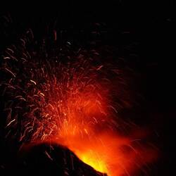 Ein Traum geht in Erfüllung!