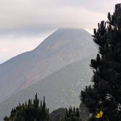 Leider wsr die Vulkanspitze oft im Nebel...