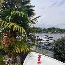 Clubanlage des Motorsportclub Gernsheim