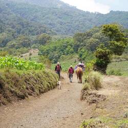 Logistische Aktion: Zu Fuss und zu Pferd werden Gasflaschen und Wasser in Basecamp getragen.