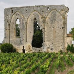 Ruine der Dominikanerkirche
