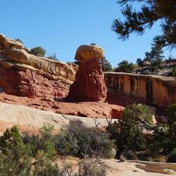 auf dem Hoodoo wächst sogar ein kleiner Baum - wie schafft der das?
