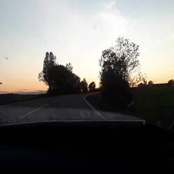 Beim suchen