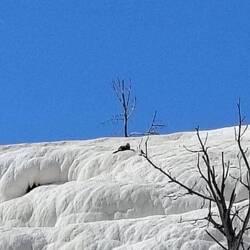 Eine Biberart wohnt hier schön warm🌡️🦫