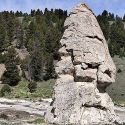 Die Liberty Cap von Mammoth oder Ein Zwerg schaut dich an 👻
