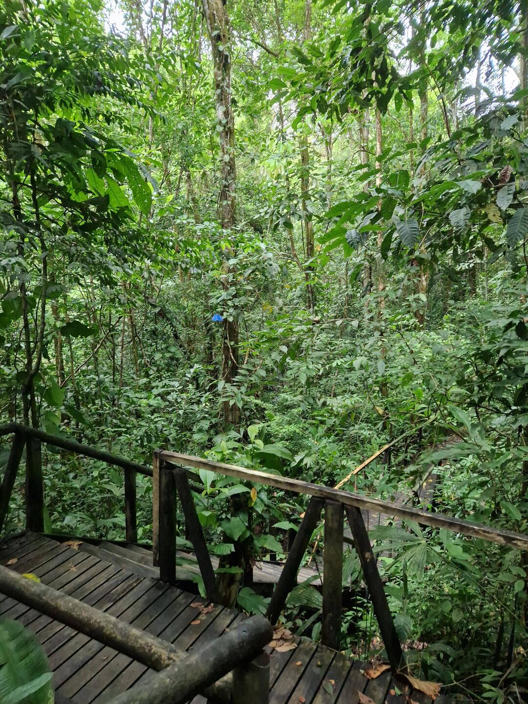 Manuel Antonio NP