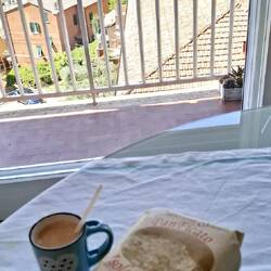 Fig panforte - a Giglio specialty