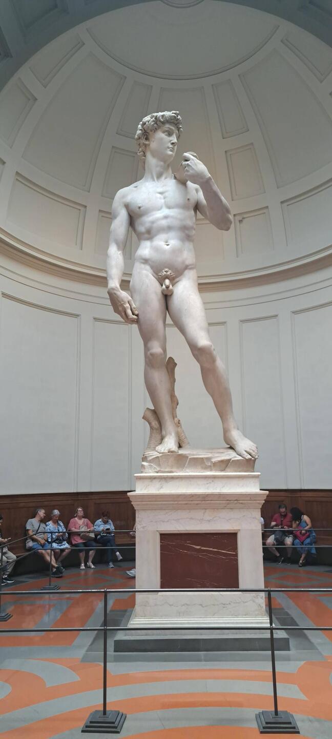 Il David di Michelagnolo😅