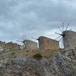 Die Windmühlen