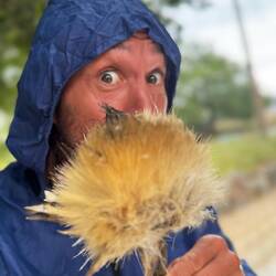 Eine riesige Pusteblume am Themenpark gr. Mythologie