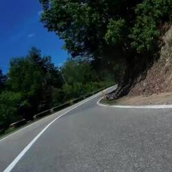 Erster Bärenkontakt auf der Fahrbahn.