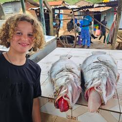 Nile perch: they are enormous