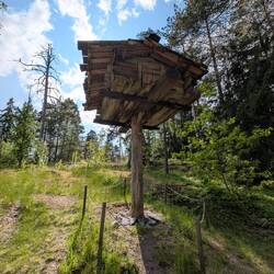 Lebensmittel Speicher: sicher vor Bären & Wölfen