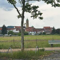 Bamberg