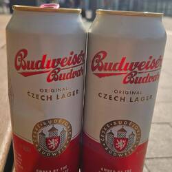 Hoch hinaus = Gut aushydriert sein!