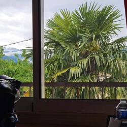 Blick aus dem Hotelzimmerfenster. Im Hintergrund die Pyrenäen 😀