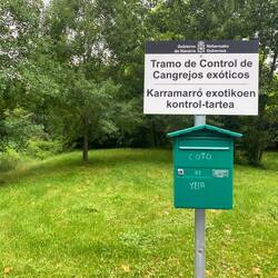 According to Google, the American crab is an invasive species here.