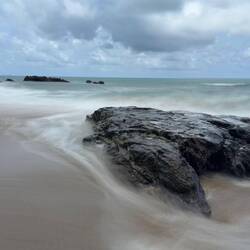 Paulchen geht seinem Fotografen-Herzen nach