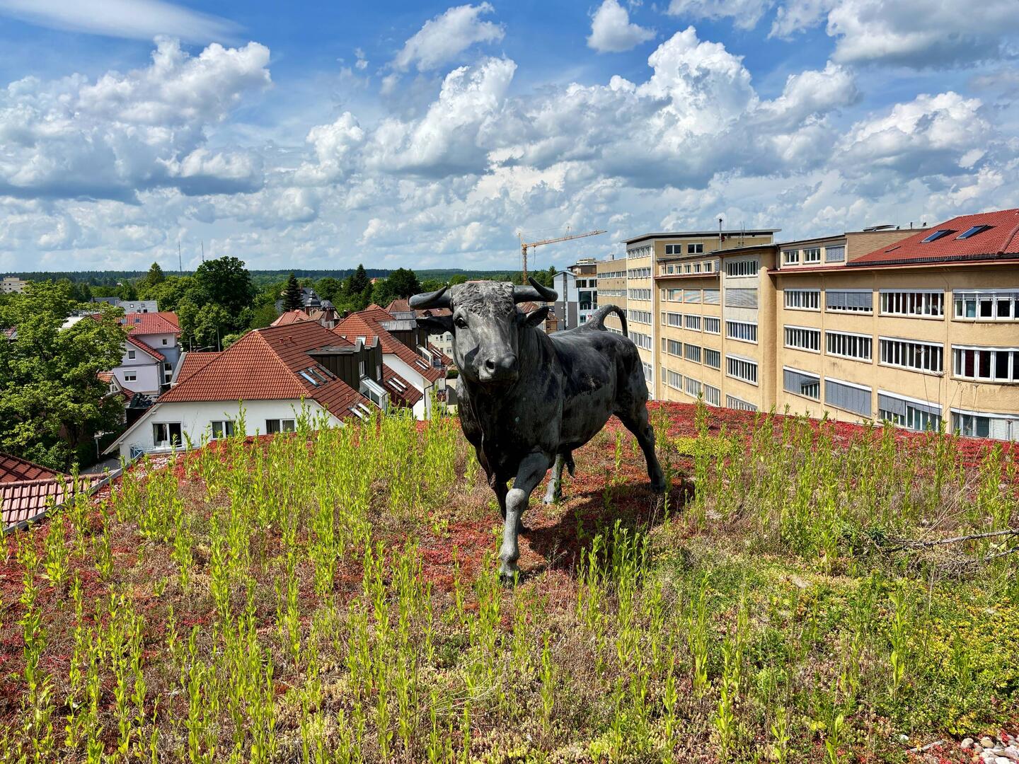 Juan auf dem Dach, Villingen