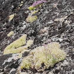 Man darf das 'kleine' wunderbare nicht aus den Augen verlieren