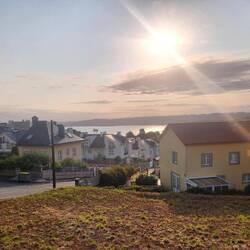I climbed up a hill this morning, and voila!
