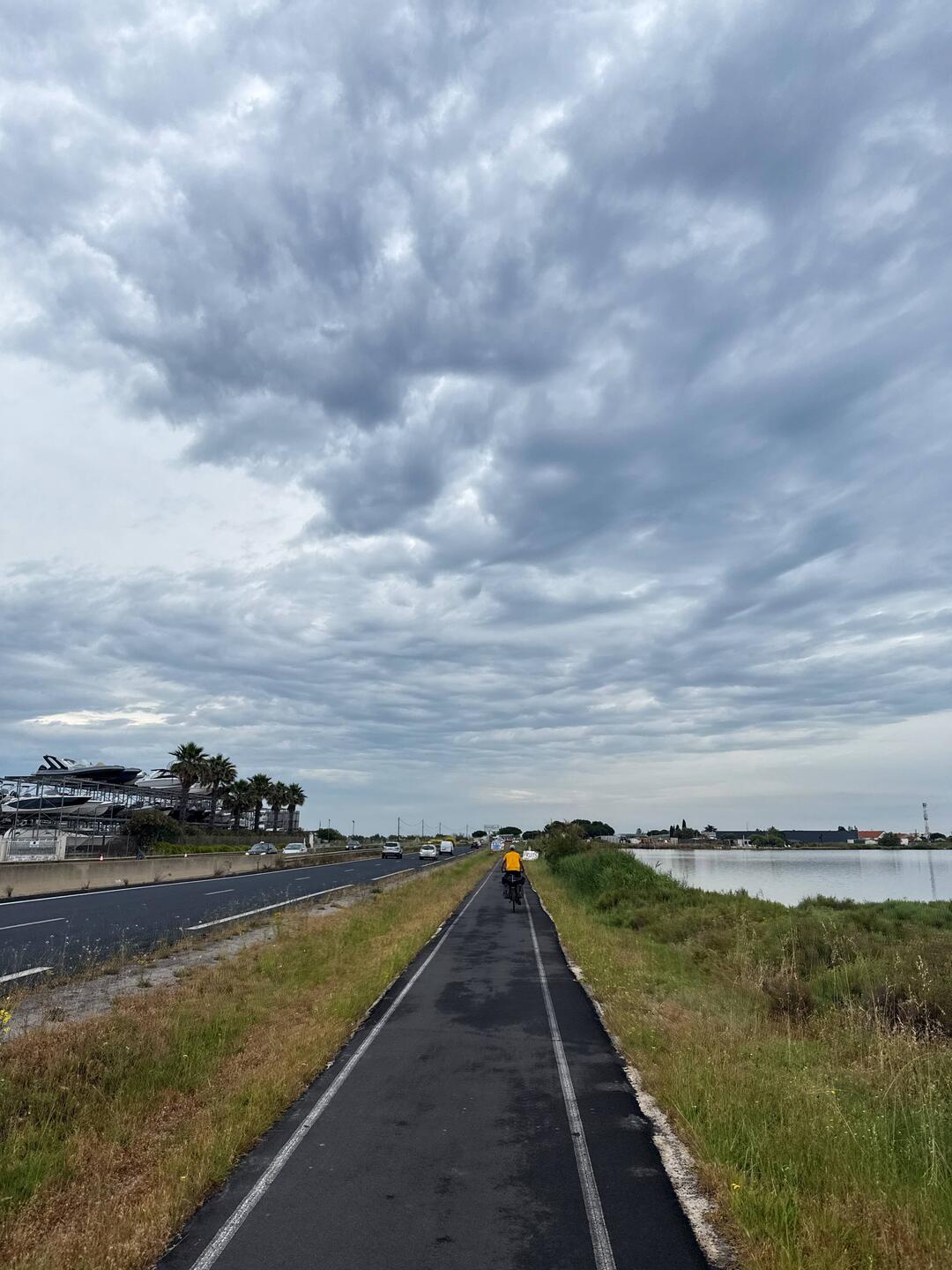 R.I.P an die Dutzenden Schnecken die überfahren wurden.