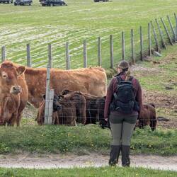 Gegenseitiges Interesse